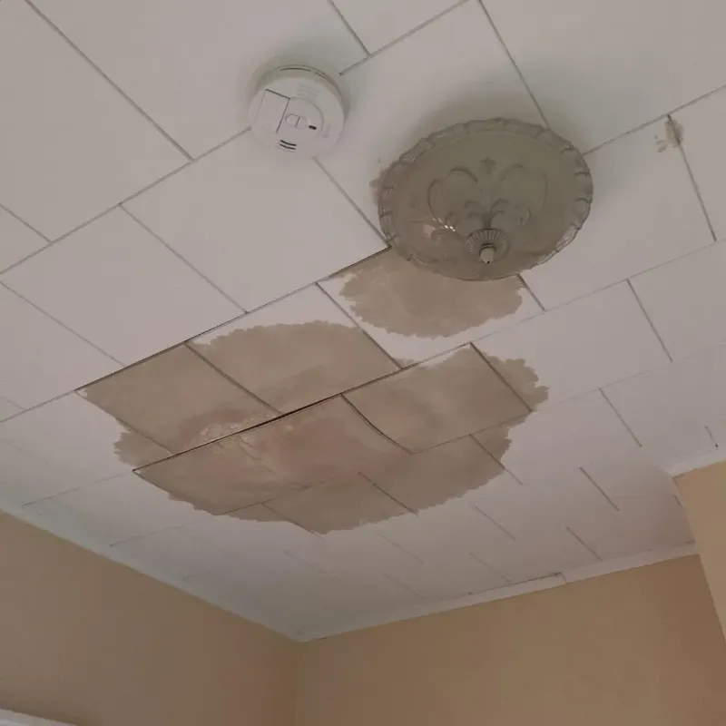 Ceiling Water Damage Repair in Edgewood, OH