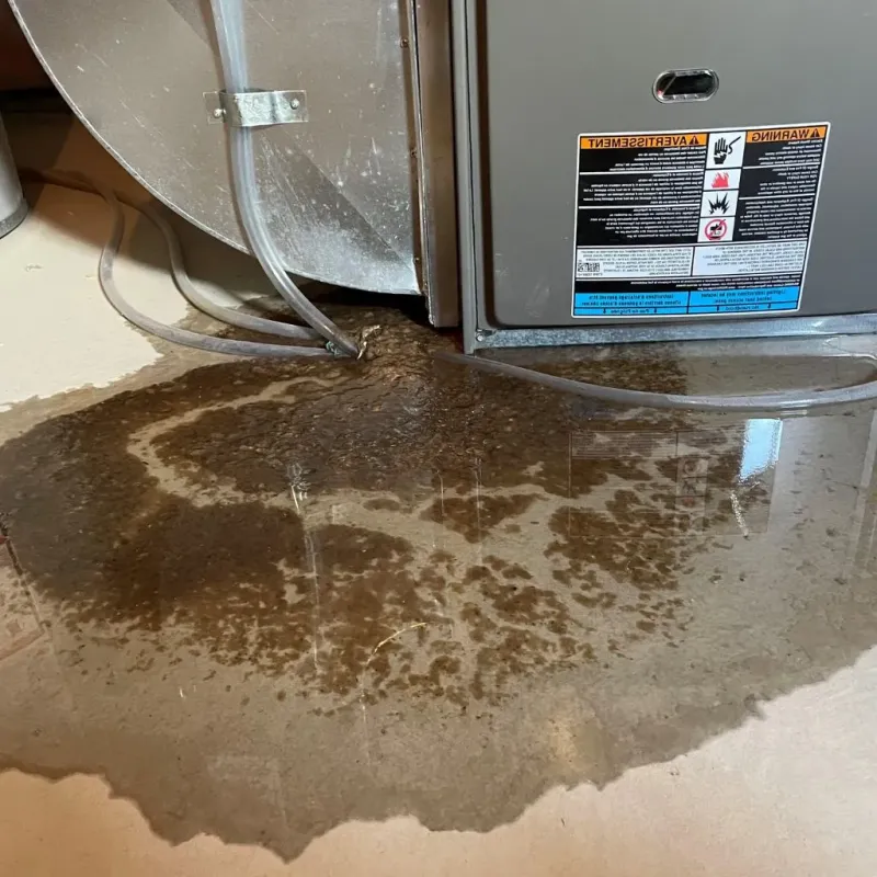 Pipe Burst and Leak Restoration in Edgewood, OH